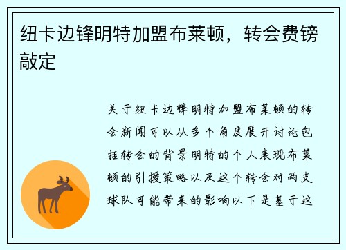 纽卡边锋明特加盟布莱顿，转会费镑敲定