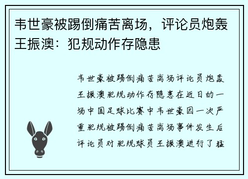 韦世豪被踢倒痛苦离场，评论员炮轰王振澳：犯规动作存隐患